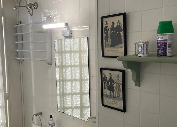 Estudio Historico Seculo Xix Com Varanda E Vistas A Baixa